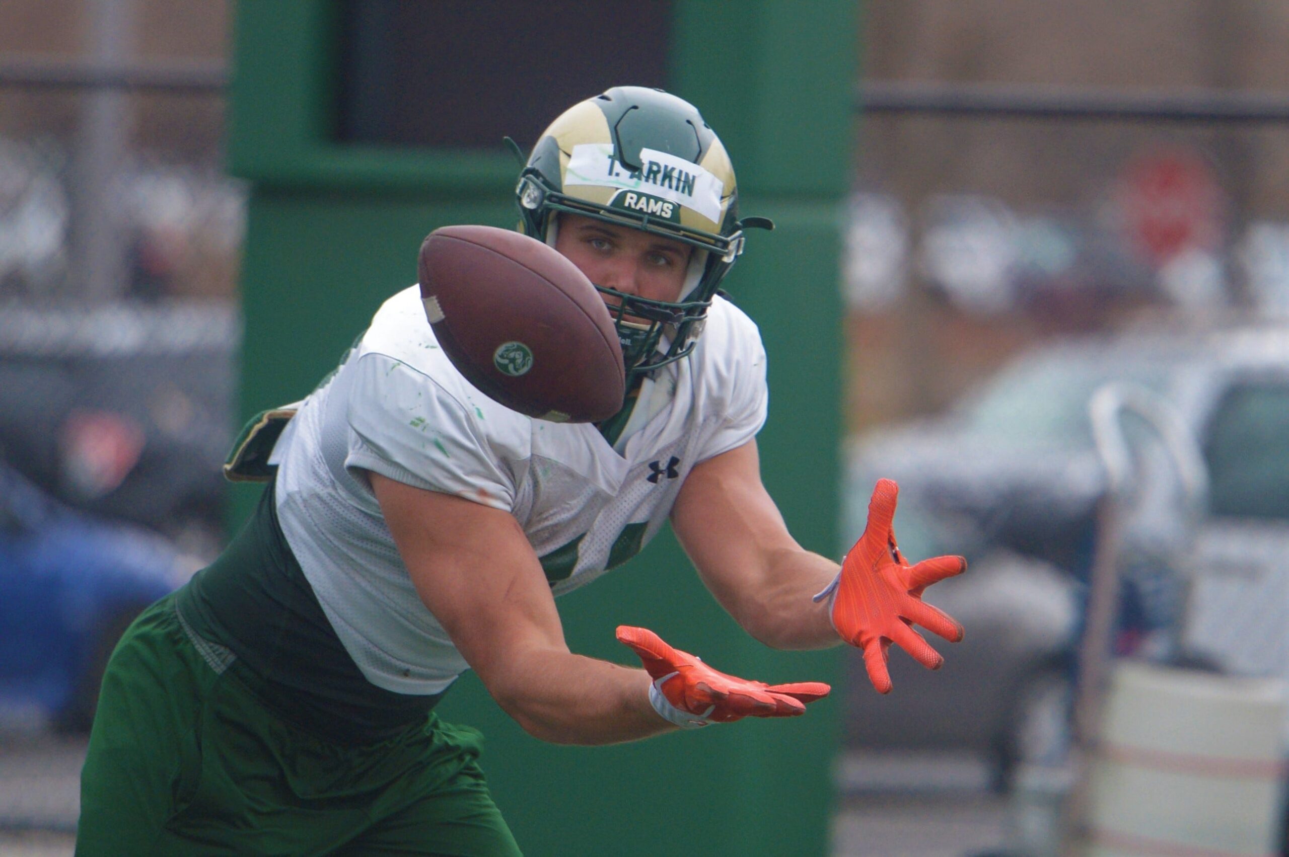 Illini Football: Is Tanner Arkin Ready to Lead The Tight Ends?