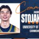 Illinois basketball landed the commitment of Andrej Stojakovic.