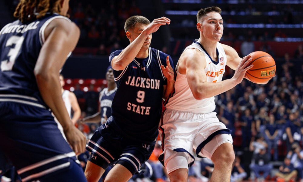 Illini forward David Mirkovic.