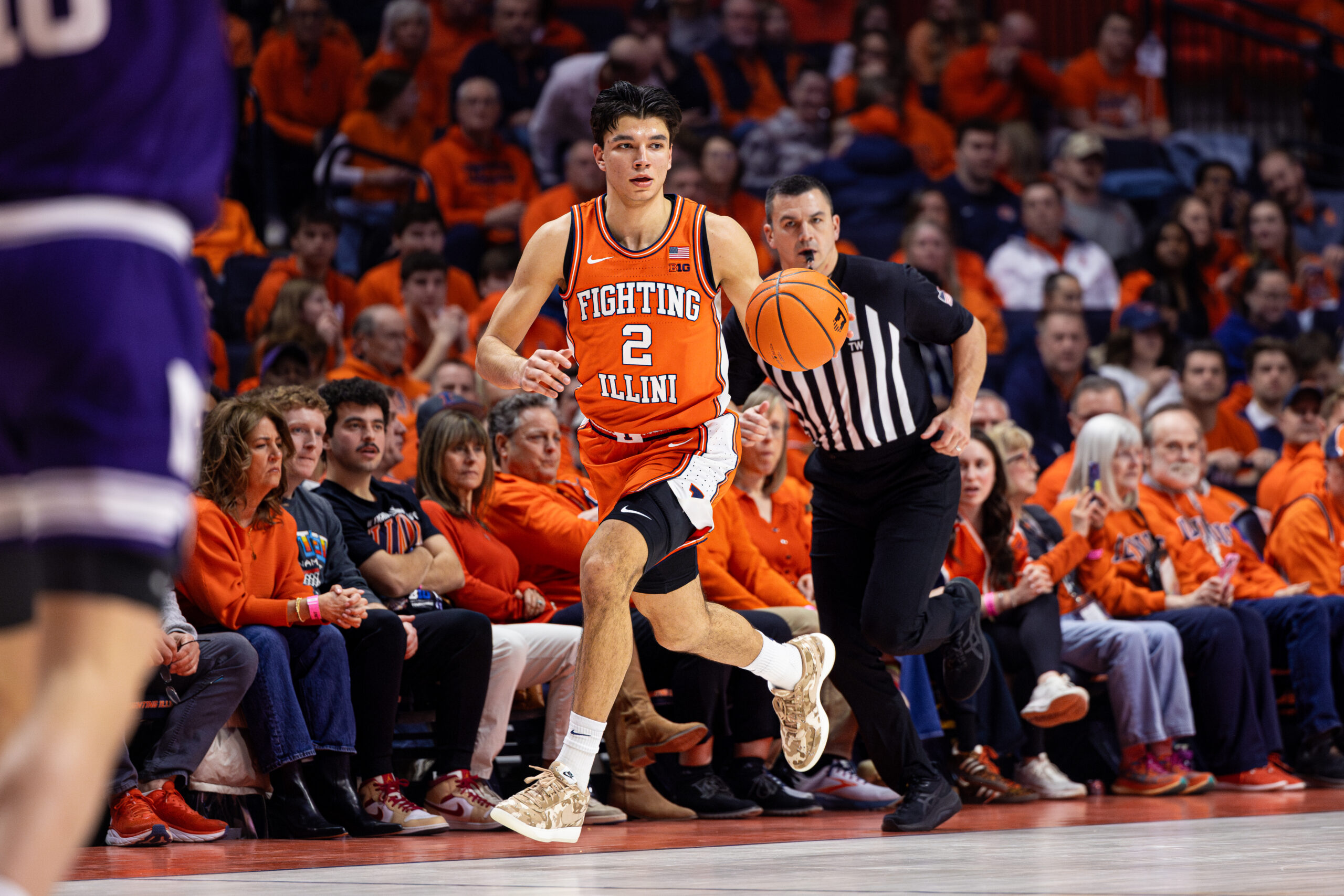 Illini wing Andrej Stojakovic