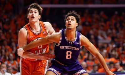 Fighting Illini forward David Mirkovic
