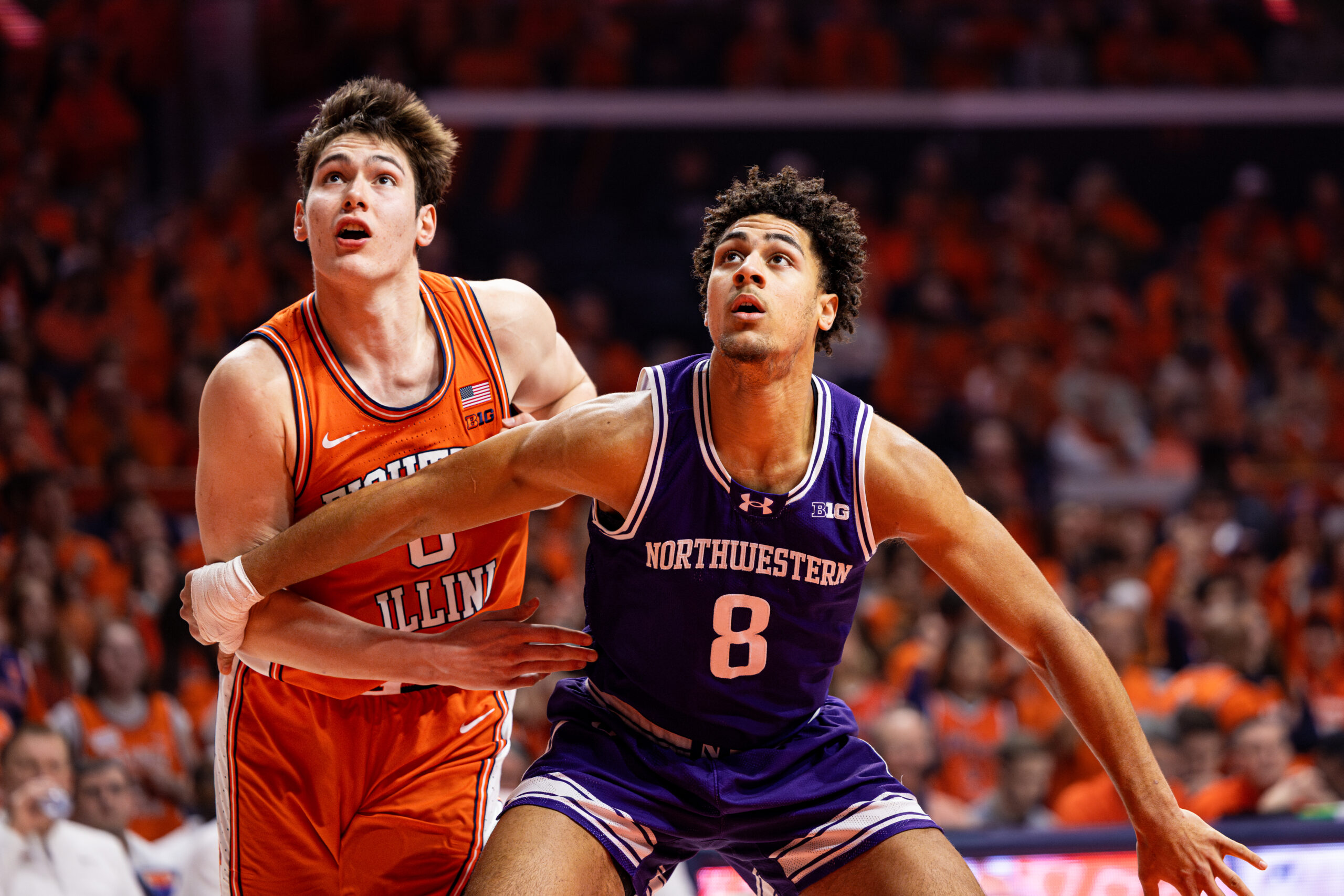 Fighting Illini forward David Mirkovic