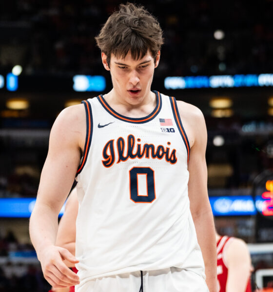 Illini forward David Mirkovic