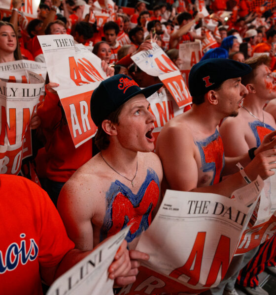 Illinois basketball fans