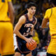 Illinois basketball wing Andrej Stojakovic vs Iowa.